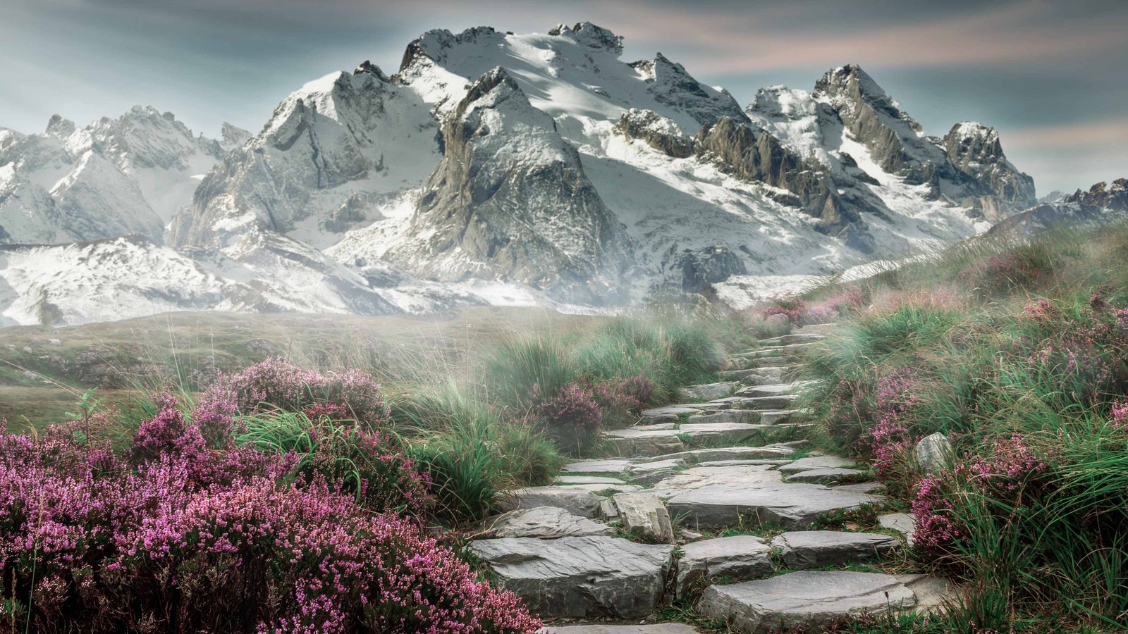 安全联盟是什么梗?安全联盟第三方公司很皮啊