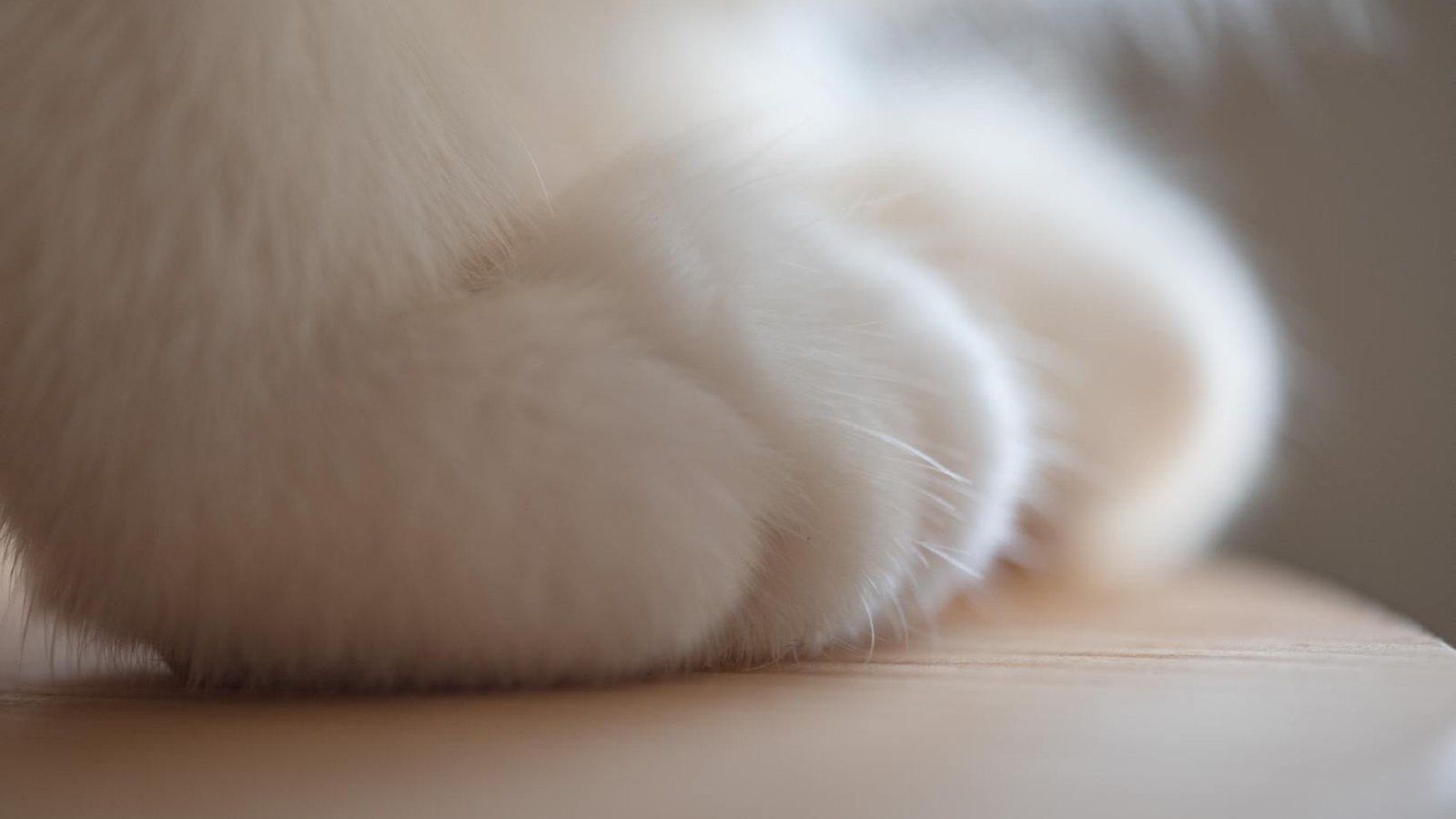 御宅男CMS - YznCMS御宅男博客,免费CMS内容管理系统 - 全民博客