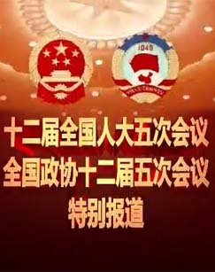 CCTV-4十二届全国人大五次会议全国政协十二届五次会议特别报道