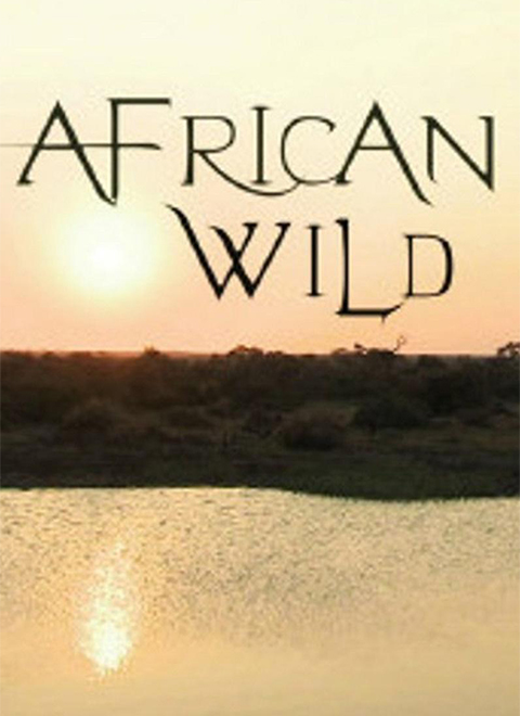 非洲自然写真（African Wild）