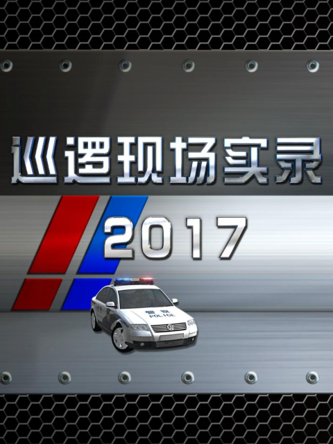 巡逻现场实录2017