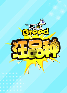 汪品种
