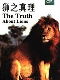 BBC：狮子的真相