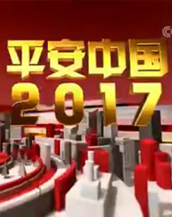 平安中国2017