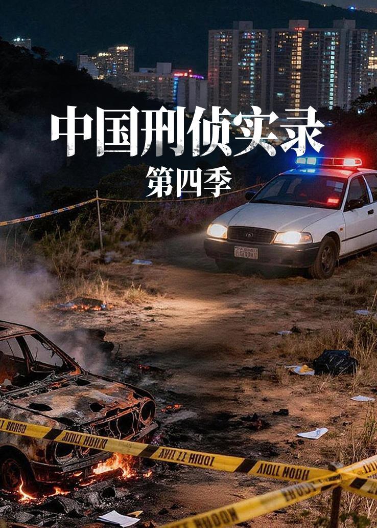 中国刑侦实录第四季