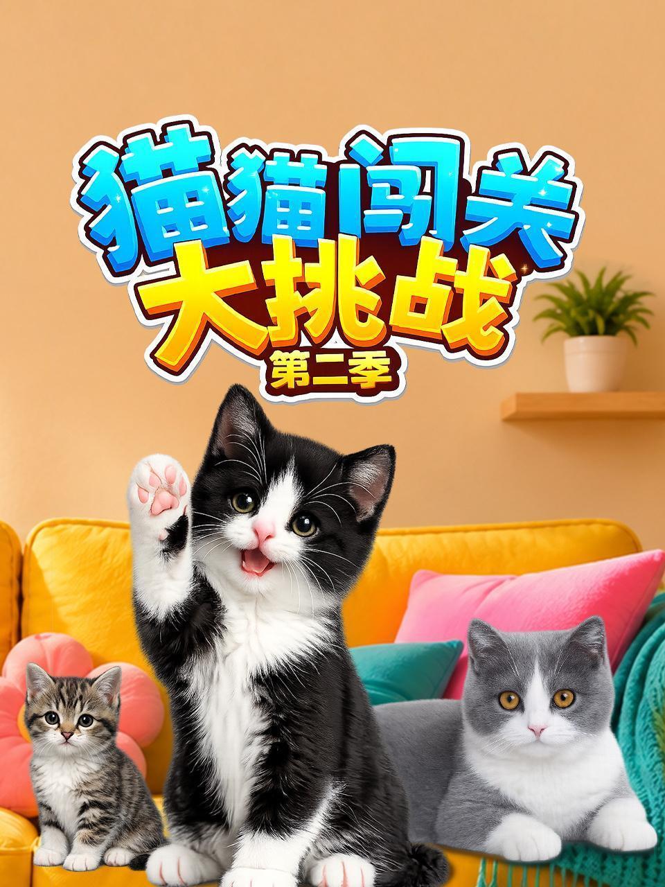 猫猫闯关大挑战 第二季
