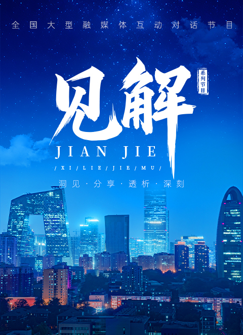 见解