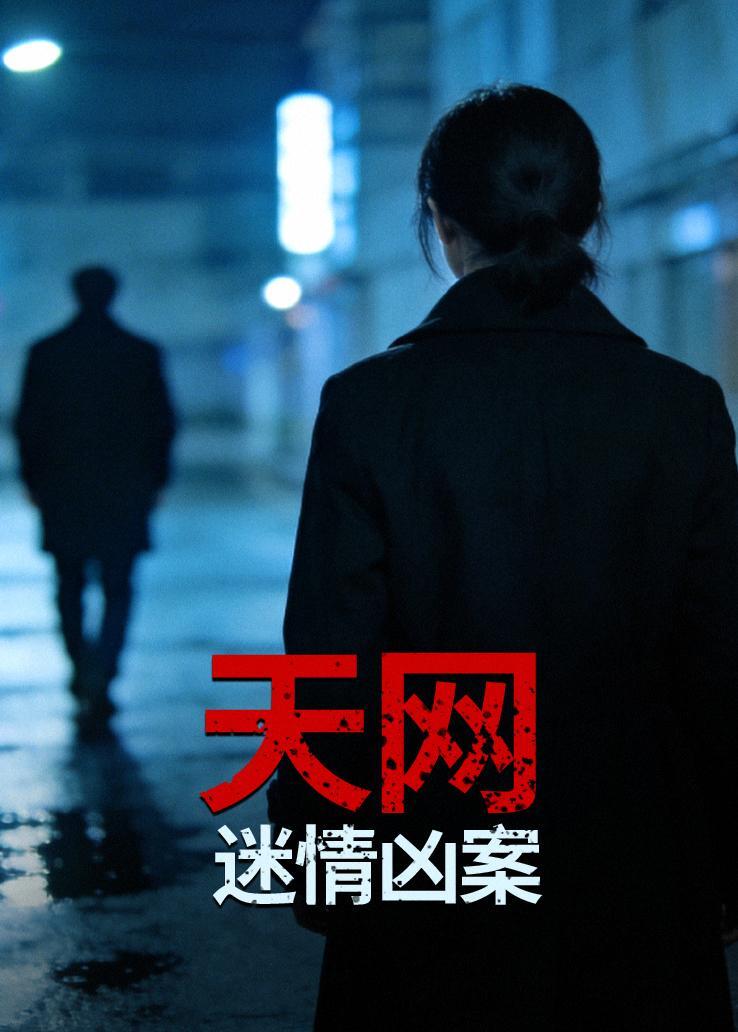 天网：迷情凶案