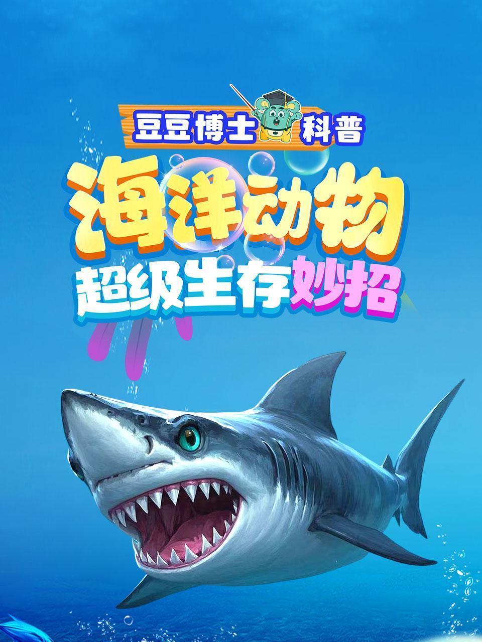 豆豆博士科普：海洋动物超级生存妙招