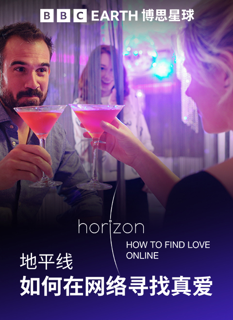 地平线： 如何在网络寻找真爱（Horizon: How to Find Love Online）