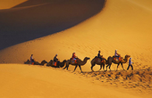 俞瑾骑行日记9：改骑骆驼 行走在茫茫沙漠上