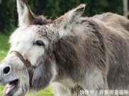 我国发展最不引人注意的城市, 仅是三线城市, 经济却成省内第二