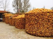 为什么修建地铁时从没见过运土车?挖出的土去哪了?今天才知道