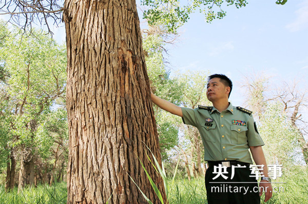 點(diǎn)擊在新窗口中打開(kāi)圖片