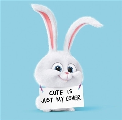 《爱宠大机密》上映 比小黄人萌比动物城疯