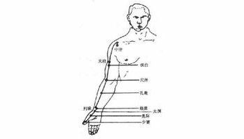 手太阴肺经穴