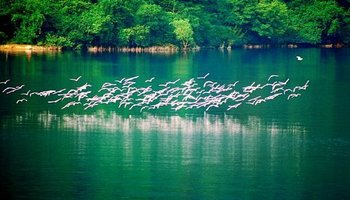 澄碧湖风景婉约秀丽的 澄碧湖,澄碧湖位于革命老区百色城东北七里处