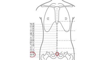 取法:仰卧,于腹部中线,耻骨联合上缘凹陷处取穴.