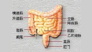 结肠性便秘