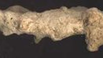 又称 钙质结核(calcic concretion.一般指黄土中的碳酸钙形成的结核.