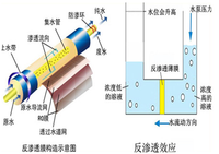 反渗透水处理设备