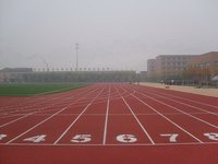 塑胶跑道 塑胶跑道