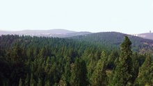 昌乐县寿阳山森林公园