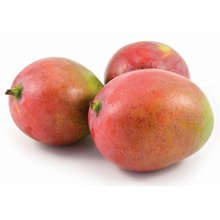 澳洲芒果_360百科