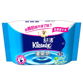 舒洁 湿厕纸家庭装40片 - 孕妇日用品\/母婴日用