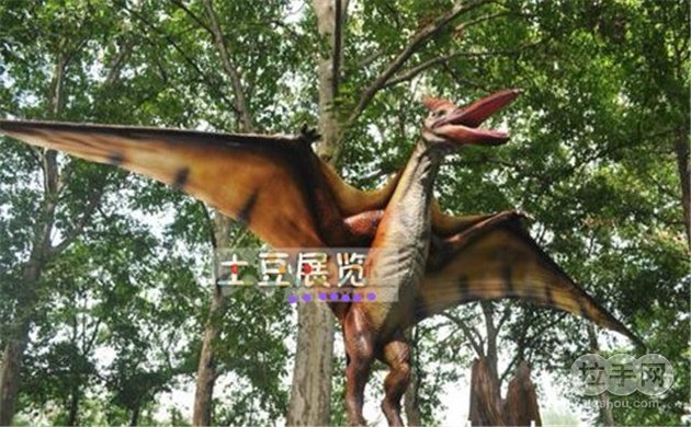 仅售28元,市场价50元的侏罗纪恐龙主题公园门