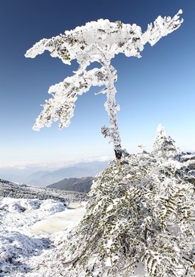 【电话换票】轿子雪山风景区套票+往返索道
