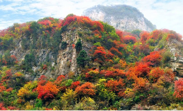 泰和山风景区门票(黄花溪+天缘谷)1张