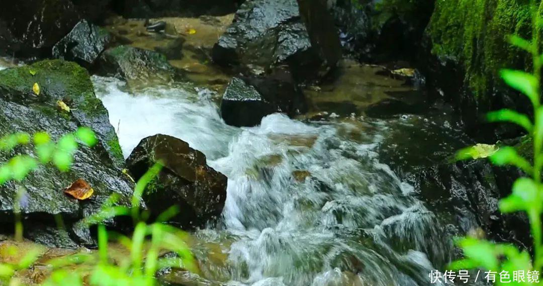 尚志市属于哪个市