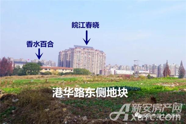 2018土地推荐:东部新城独秀大街周边2宗地块