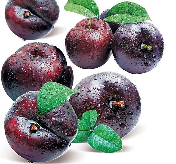 乌梅丸便宜价格 天山乌梅质量好吗