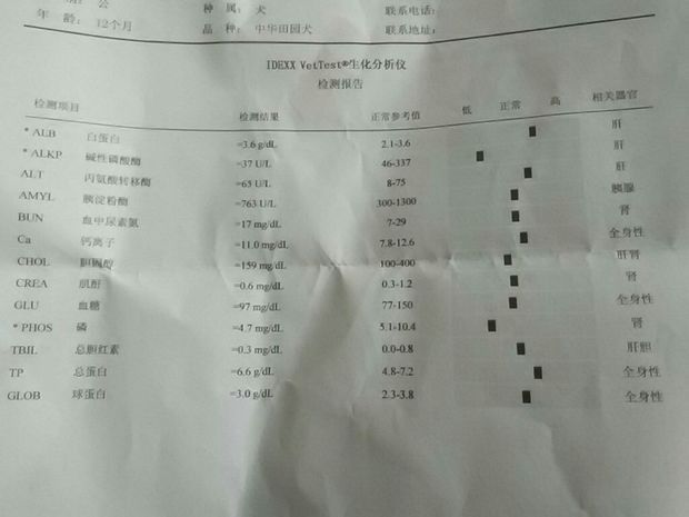 带去医院后医生问了症状判断是膀胱炎.