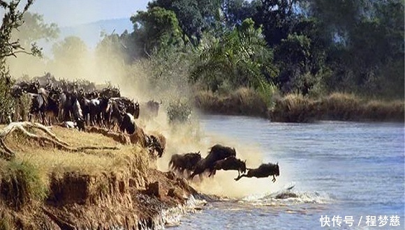 去肯尼亚,现在就是最好的时机