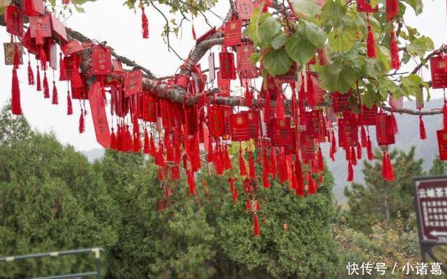 2月14号情人节,事业桃花姻缘,前途无量,三生肖