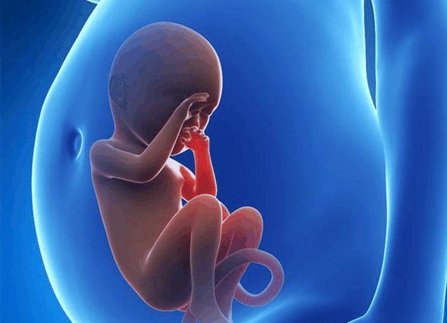 孕妈妈在怀孕期间了解胎儿缺氧是什么症状很有