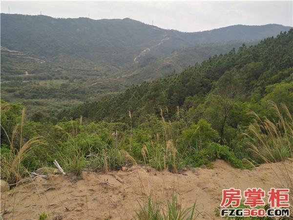 金辉集团获惠阳地块 碧桂园再拿惠东3宗纯住宅地