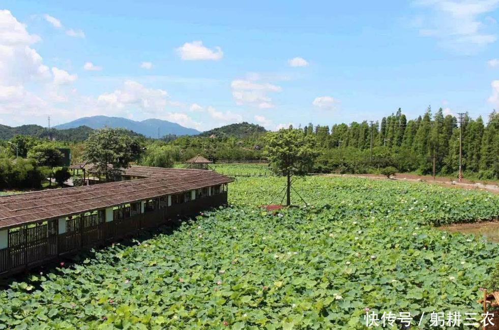乡村旅游大发展时机,哪几类村庄能抓住机会