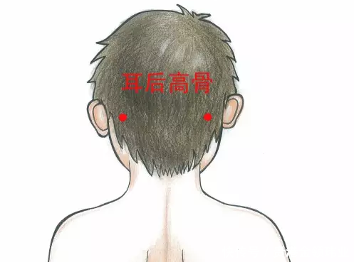 (贵港专业小儿推拿)孩子感冒有痰的小儿推拿手