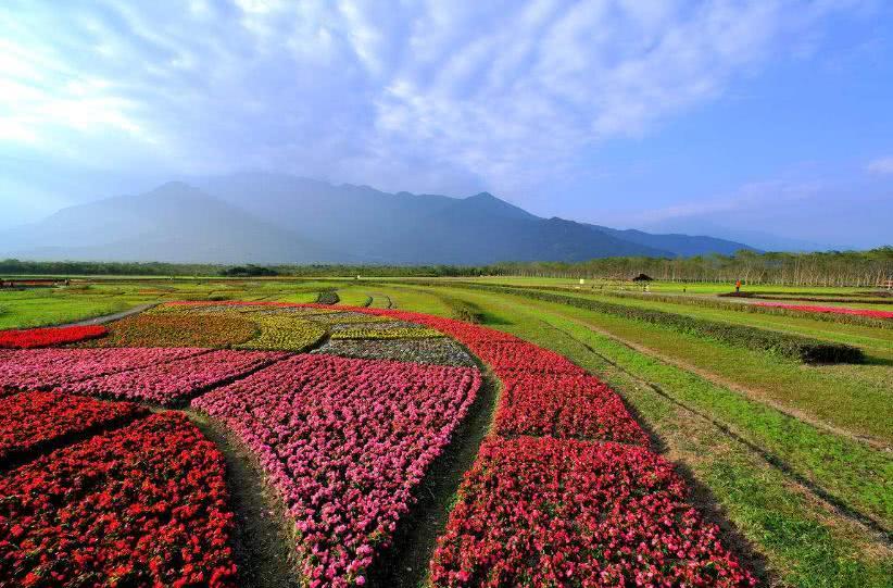 6月开始，这3个生肖运势红红火火，财运好生意旺，富贵又平安！