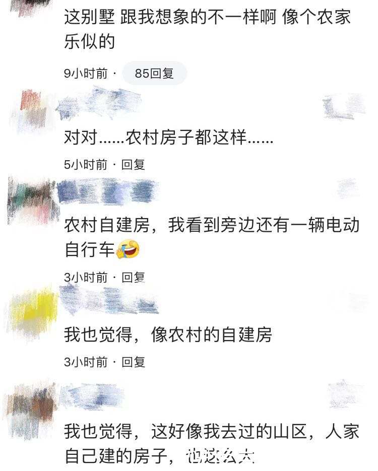 鲁豫到梁安琪家采访，赌王四太家别墅曝光，网友：像农村自建房