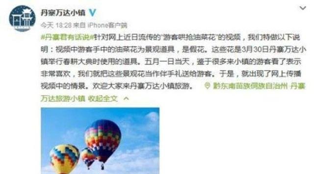 游客哄抢展览花 景区回应我们把这些景观花当