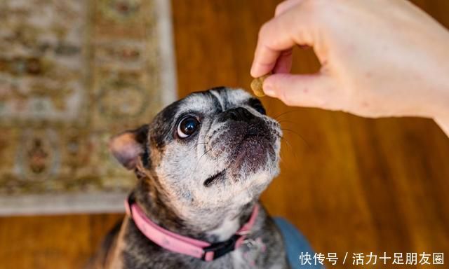 企业信息登记号