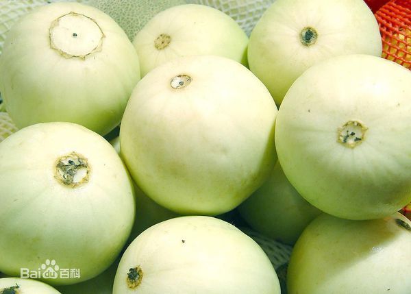 北方地区什么时候可以种植香瓜啊_360问答