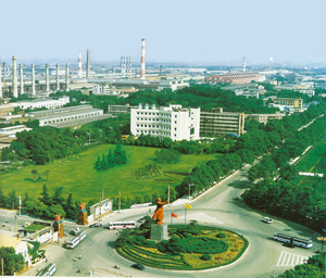 公司概况 武钢是新中国成立后兴建的第一个特大型钢铁联合企业,于1955