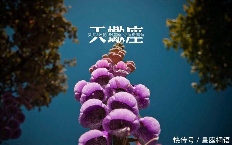 生气的时候最可怕的星座排行TOP3，前两个名副其实，第三个意料之