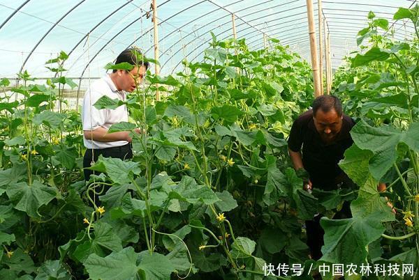 一文读懂:新型职业农民的申请条件、申请方式